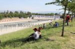 Zone Pelouse <br />Grand Prix de Catalogne motos  <br /> Circuit Montmelo <br /> GP Catalogne